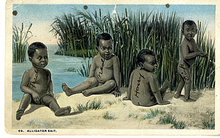 Later "alligator bait" postcards plagiarized the Knoxville lithograph[56] (University of Southern Maine)