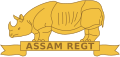 Assam Regiment[9]