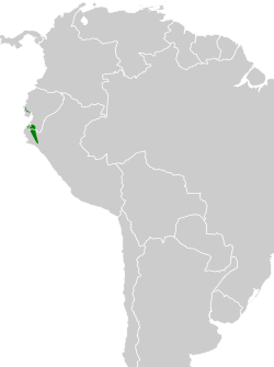 Distribución geográfica del ticotico cabecirufo occidental.