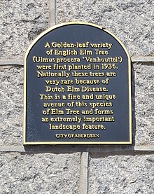 black plaque with gold writing on a granite wall