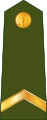 Kaprālis (Latvian Land Forces)[39]