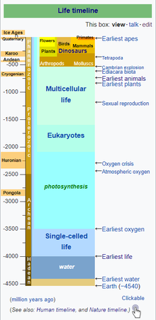 LifeTimeline