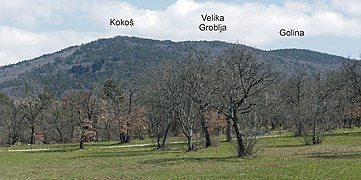 Mount Cocusso (southern slope of Basovizza)