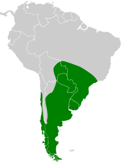 Distribución geográfica del pato picazo.