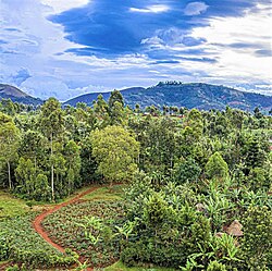 The landscape view of Ngweshe Chiefdom