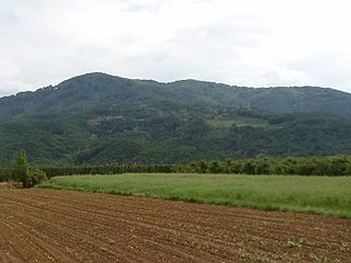 Поглед на Кукавицу из Накривња