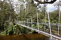 Suspension bridge on the Inland Pack Track