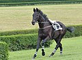 2021年6月23日 (水) 11:17時点における版のサムネイル