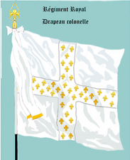 Drapeau Colonel