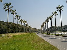 国道127号（館山バイパス）