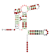 DUF3800-I Secondary structure taken from the Rfam database. Family RF02969