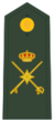 General de Brigada