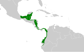 Distribución geográfica del llorón norteño.