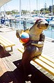 Seal sculpture on the boardwalk at UnderWater World