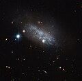 Irregular galaxy IC 3583 has been found to have a bar of stars running through its center.[12]