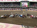 Start at a Stampede chuckwagon race