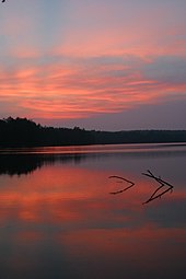 Pink clouds in a dark purple-blue sky are reflected in a smooth lake. At the horizon is a line of dark trees, and two branches stick out of the water in the middle of the image.