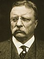 Former President Theodore Roosevelt of New York (not nominated)