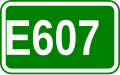 E607 shield