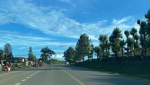 Trees besides Bushenyi to Kasese road in Kyamuhunga town council in bushenyi