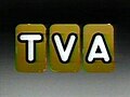 TVA logo, 1984–September 1990