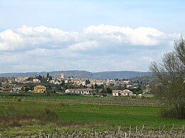 Villeneuve-de-Berg – Veduta