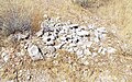 Tombe de l'une des victimes du massacre de Wickenburg.