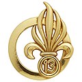 Insigne de béret de la 13e DBLE