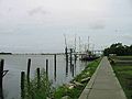 Apalachicola Bay