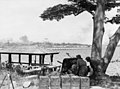 Image 79Australian anti-tank gunners overlooking the Johor Causeway between Singapore and Malaya in February 1942 (from Military history of Australia during World War II)