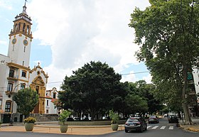 Saavedra (Buenos Aires)