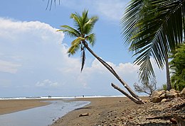 Bahía Ballena – Veduta