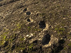 Les « Empreintes du Diable » sont des empreintes fossiles humaines laissées sur la lave du volcan de Roccamonfina dans la région de la Campanie. La tradition populaire a donné ce nom car seul un démon peut marcher sur la lave encore chaude. Datées de 350 000 ans, ces empreintes sont parmi les plus anciennes jamais trouvées du genre Homo.