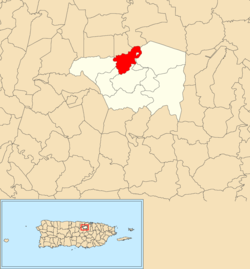 Location of Contorno within the municipality of Toa Alta shown in red