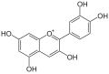 Cyanidin (farbiges Flavylium-Kation)