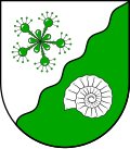 Brasão de Tensfeld