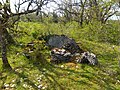 Dolmen de Cayssac 1