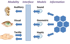 An enactive human-machine interface for using and modifying a data base