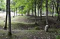 Topographie bouleversée par les obus du village détruit de Fleury-devant-Douaumont.