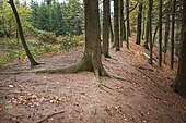 Wall im Süden