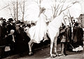 Inez Milholland leading the woman suffrage parade