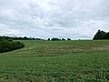 Fields near Green Valley Rd.