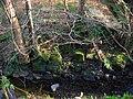 The old toll road brig at the Millburn