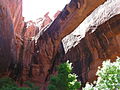 Morning Glory Natural Bridge, near Moab, UT