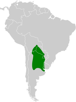 Distribución geográfica del espinero chico.