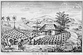 Image 25Tobacco fields in Cuba, 1859 (from History of Cuba)