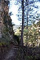 Detalle del camino a la salida de los Estrechos del Cañamar, Ruta de los Estrechos del Ebrón, en Tormón (Teruel).