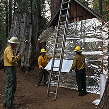 Resource Advisors (READ) from the National Park Service apply fire-resistant wrap to a historic Bildeo cabin.[27]