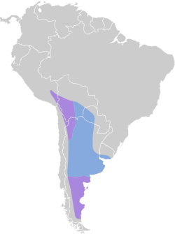 Distribución geográfica del gaucho gris.