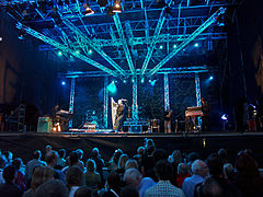 Concert au festival Bardentreffen à Nuremberg l'été 2007.